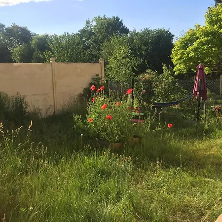 Neuf Avec Jardin Partage