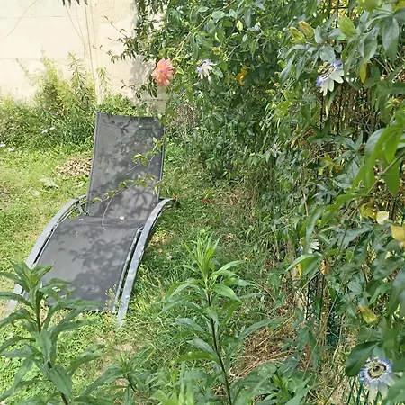 Neuf Avec Jardin Partage 阿棉