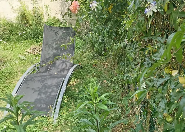 Neuf Avec Jardin Partage Amiens